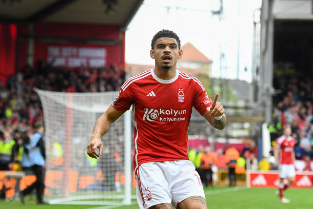 因其优质的 因其优质的