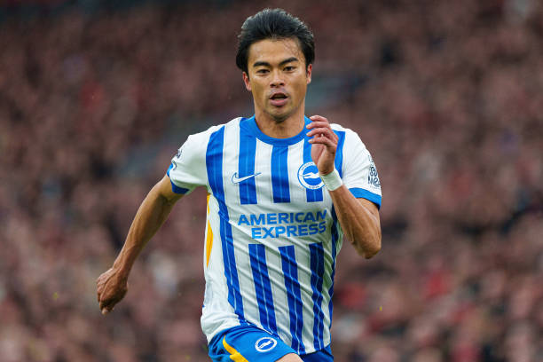 在他的帮助 在他的帮助