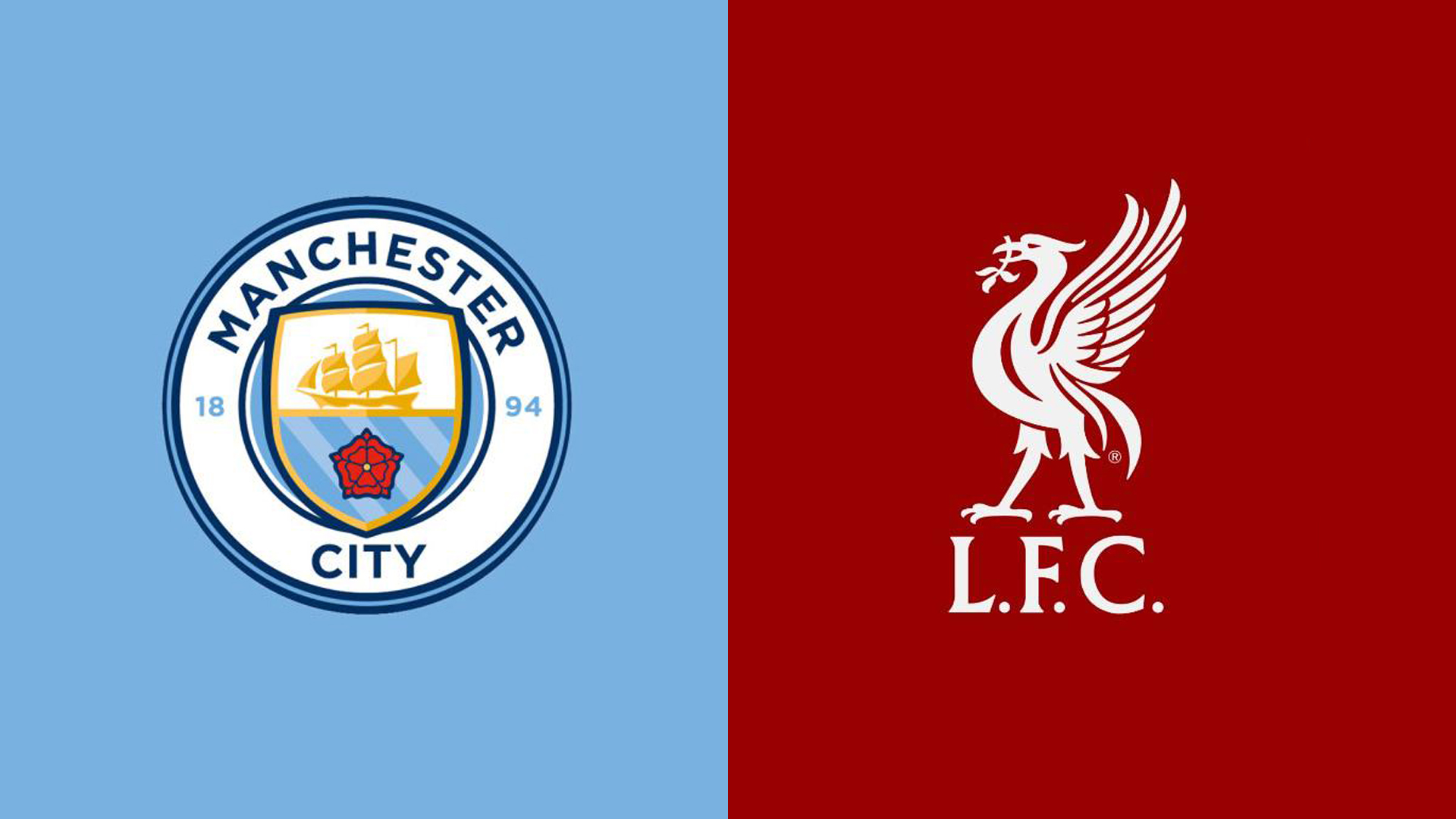 臂尺骨手术 臂尺骨手术